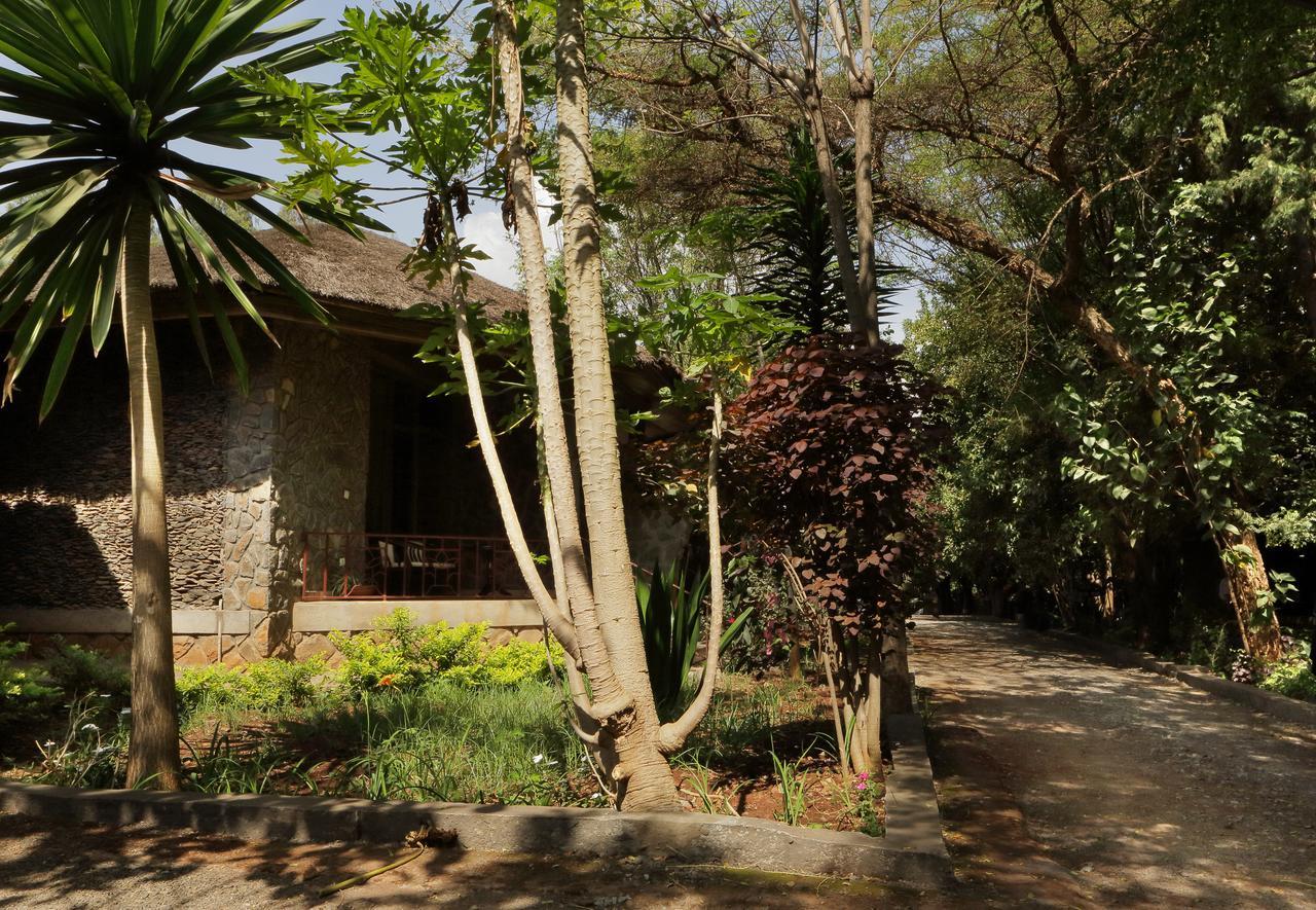Abay Minch Lodge Bahir Dar Kültér fotó