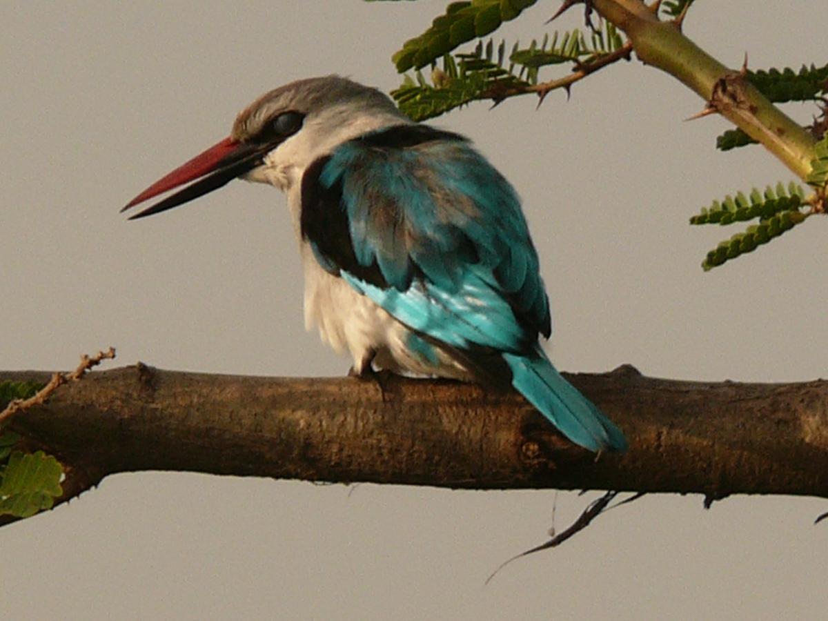 Abay Minch Lodge Bahir Dar Kültér fotó
