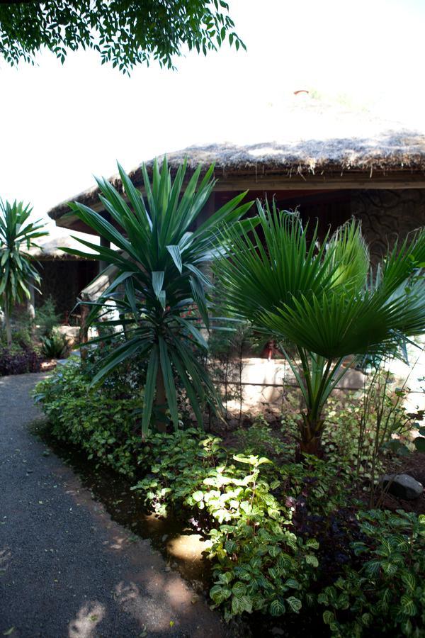 Abay Minch Lodge Bahir Dar Kültér fotó