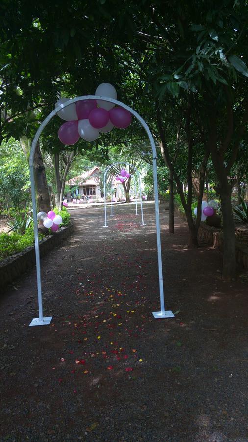 Abay Minch Lodge Bahir Dar Kültér fotó
