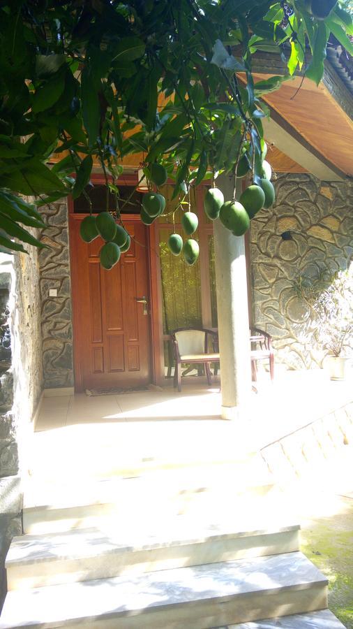Abay Minch Lodge Bahir Dar Kültér fotó